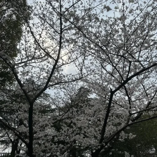 阿明的自由时间的头像
