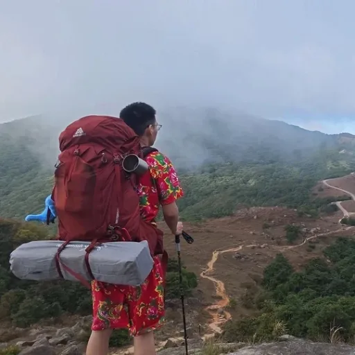 帐篷已开的头像