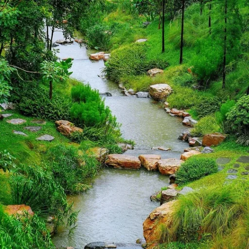 大伟今天干啥的头像