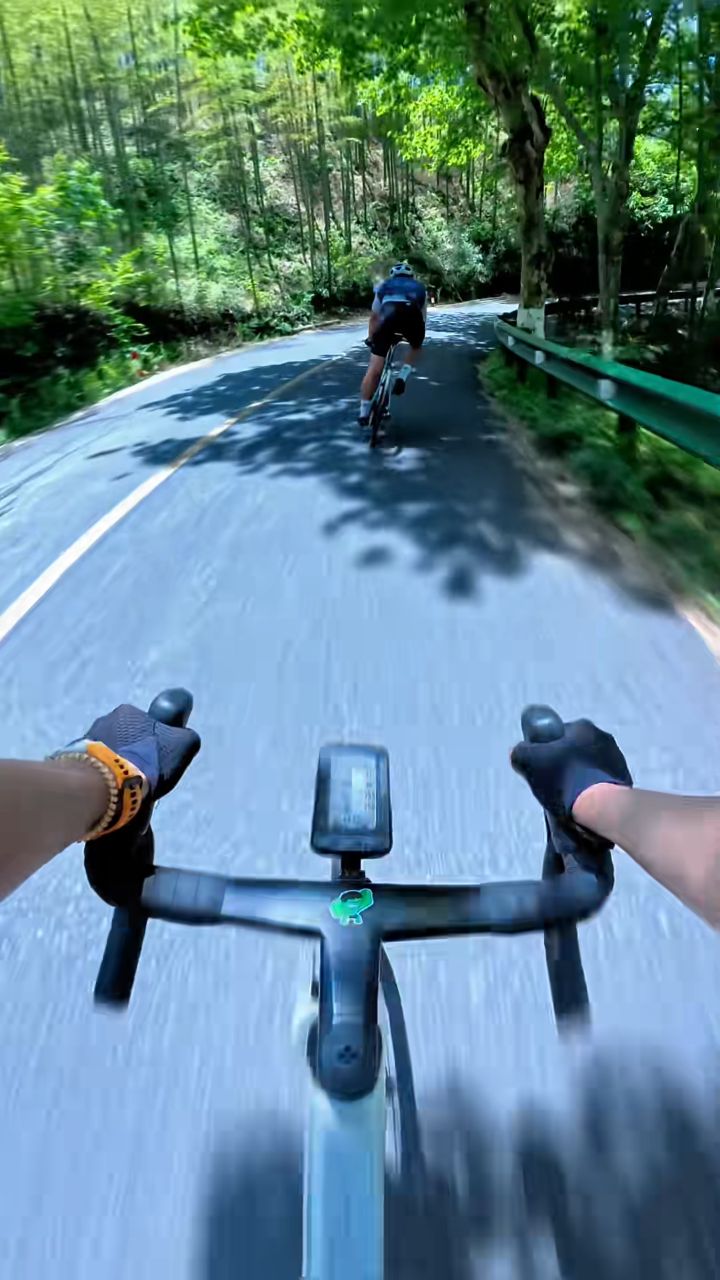 🍃沉浸式下坡｜风、速度和弯道的快乐🚴‍♂️