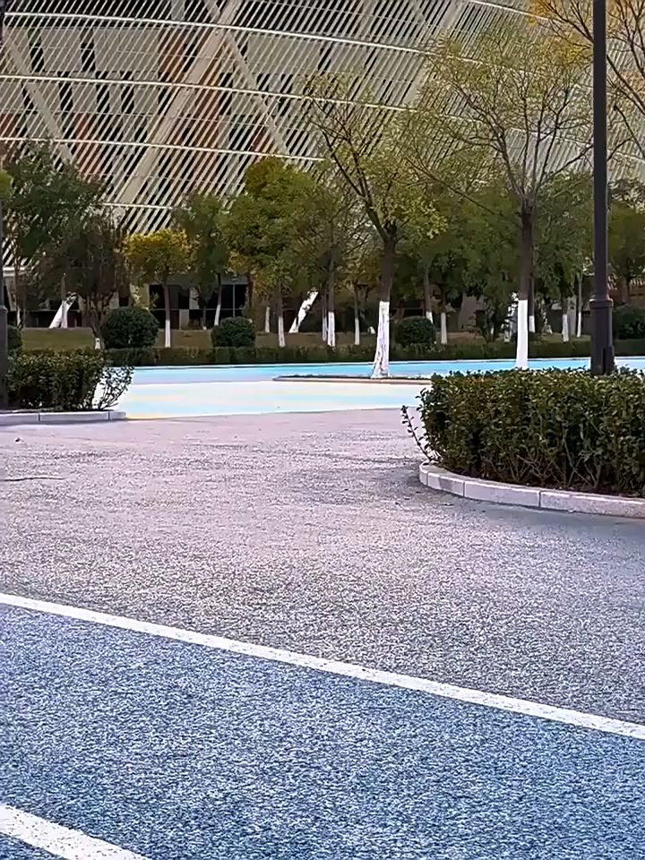 这台1:24福特拉力RC也太上头了！