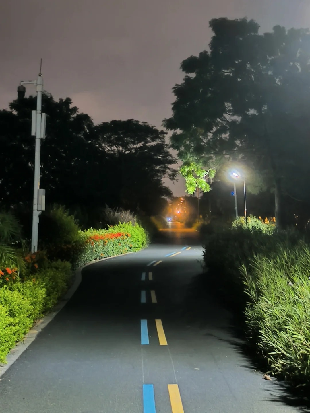 🚴 深圳宝安骑行路线合集｜7条路线一次收藏！ · 图片 5