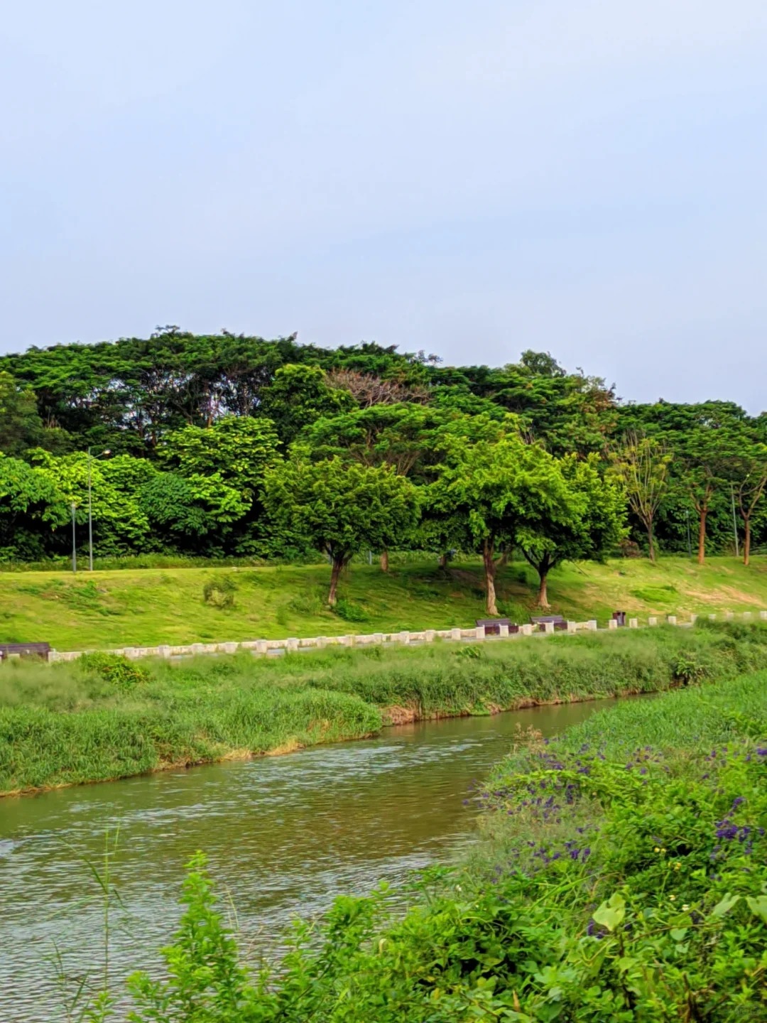 🚴 深圳宝安骑行路线合集｜7条路线一次收藏！ · 图片 3
