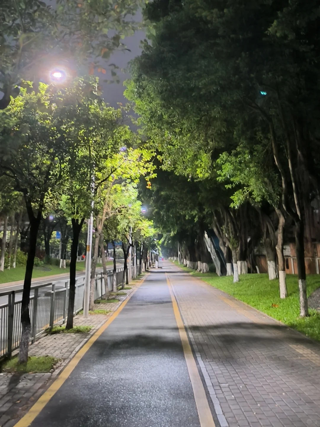 🚴 深圳宝安骑行路线合集｜7条路线一次收藏！ · 图片 4