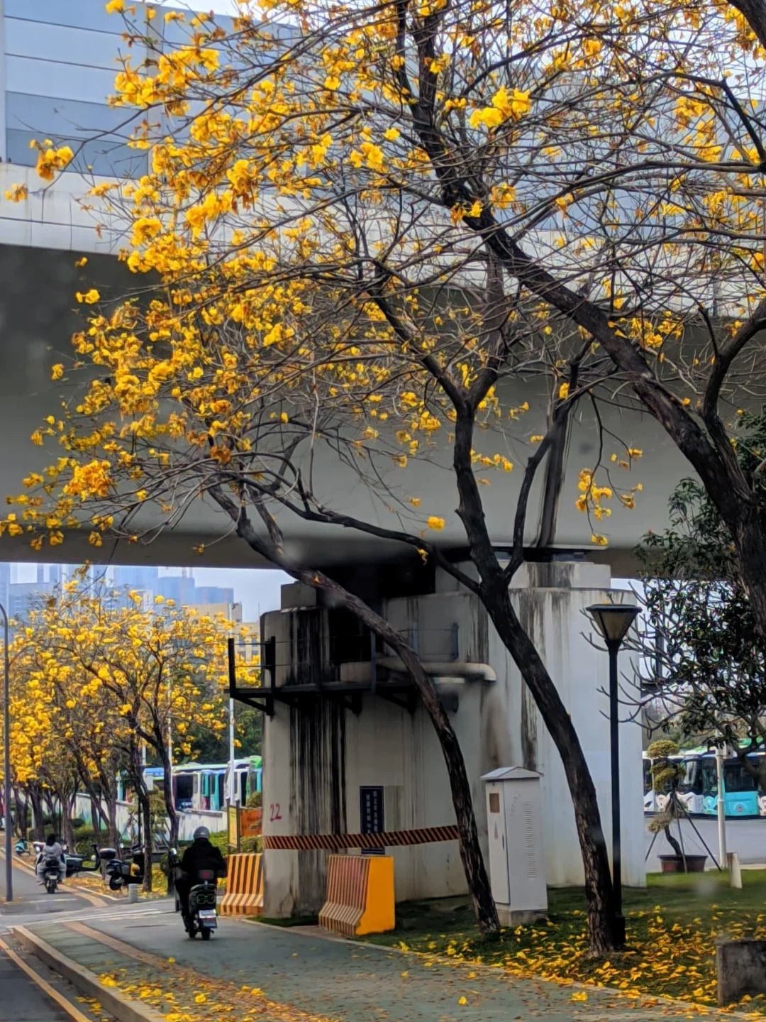 🚴 深圳宝安骑行路线合集｜7条路线一次收藏！ · 图片 2