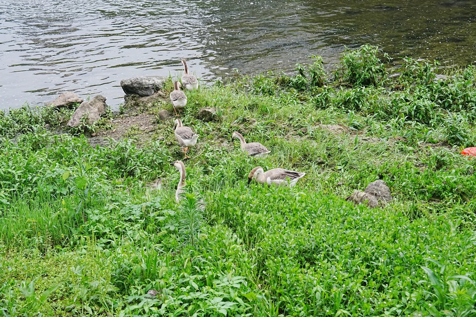 杭州三个湖都骑过后，我更想再刷青山湖！ · 图片 5
