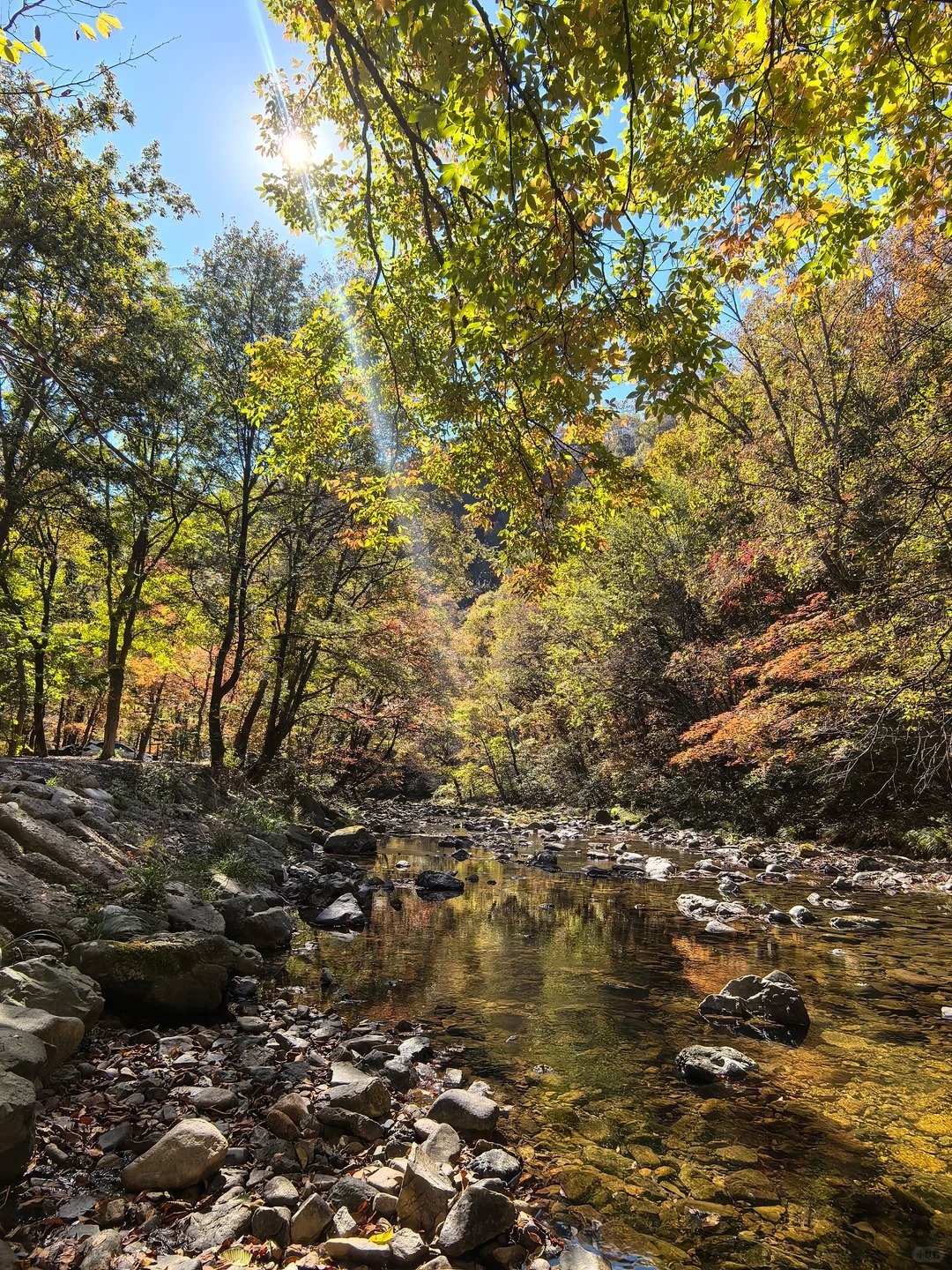 🍁秋天的本溪也太美了！枫叶大道旁藏着神仙营地⛺️ · 图片 5