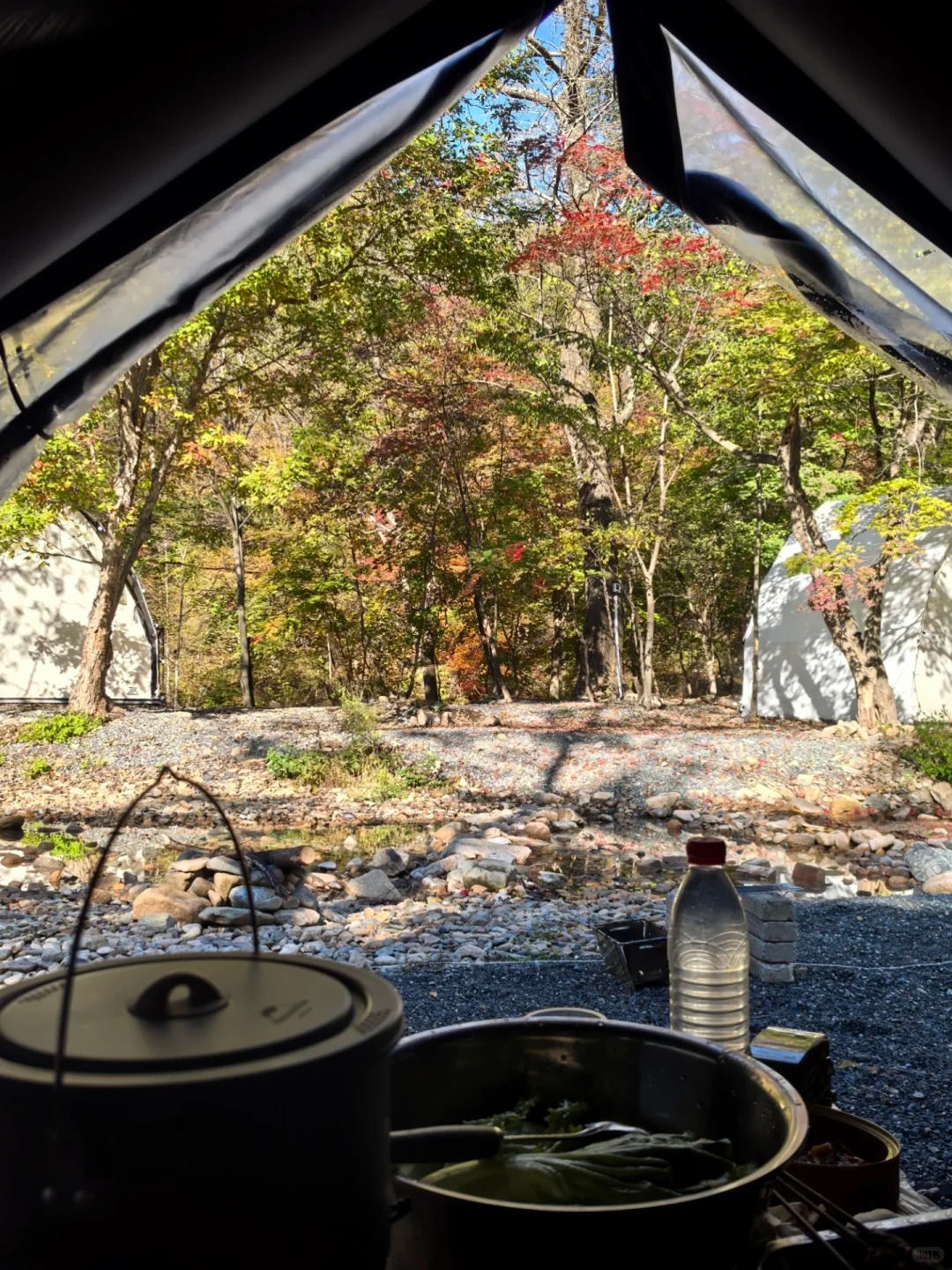 🍁秋天的本溪也太美了！枫叶大道旁藏着神仙营地⛺️ · 图片 2