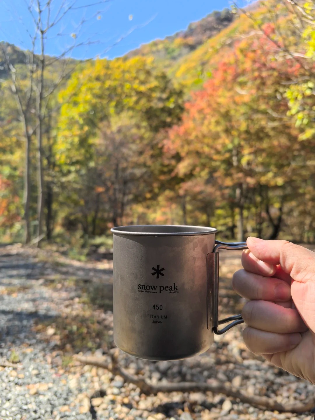 🍁秋天的本溪也太美了！枫叶大道旁藏着神仙营地⛺️ · 图片 4
