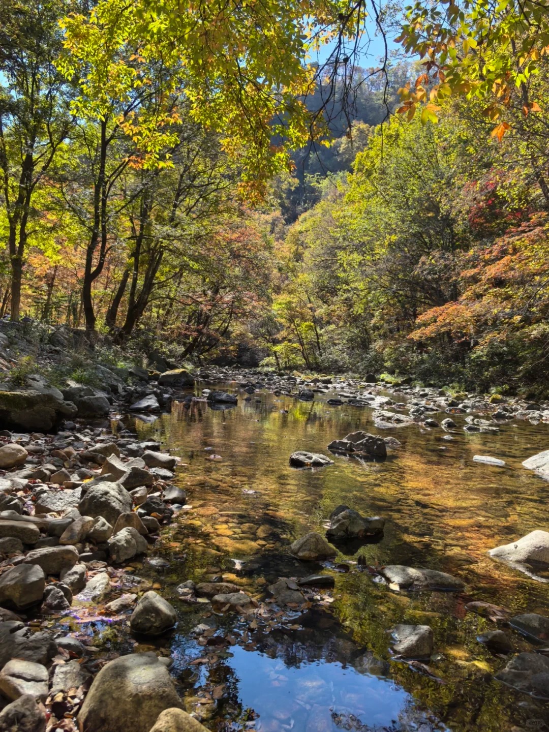 🍁秋天的本溪也太美了！枫叶大道旁藏着神仙营地⛺️ · 图片 3
