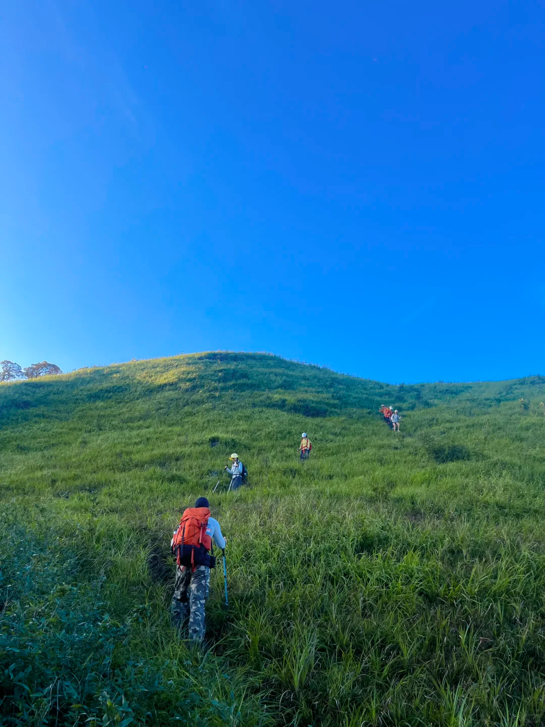韶关大布⛰️ 草甸 · 风车 · 断崖 · 图片 2