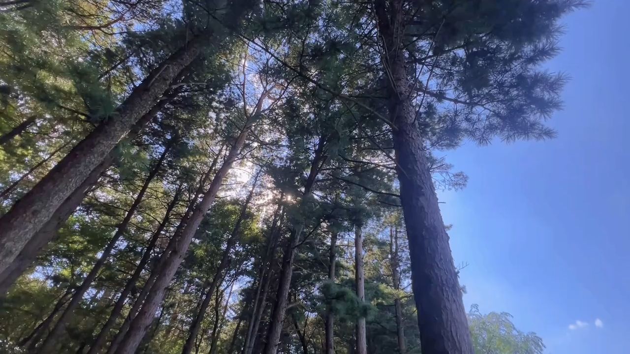 湖畔吊床，给周末留一段什么都不赶的时间