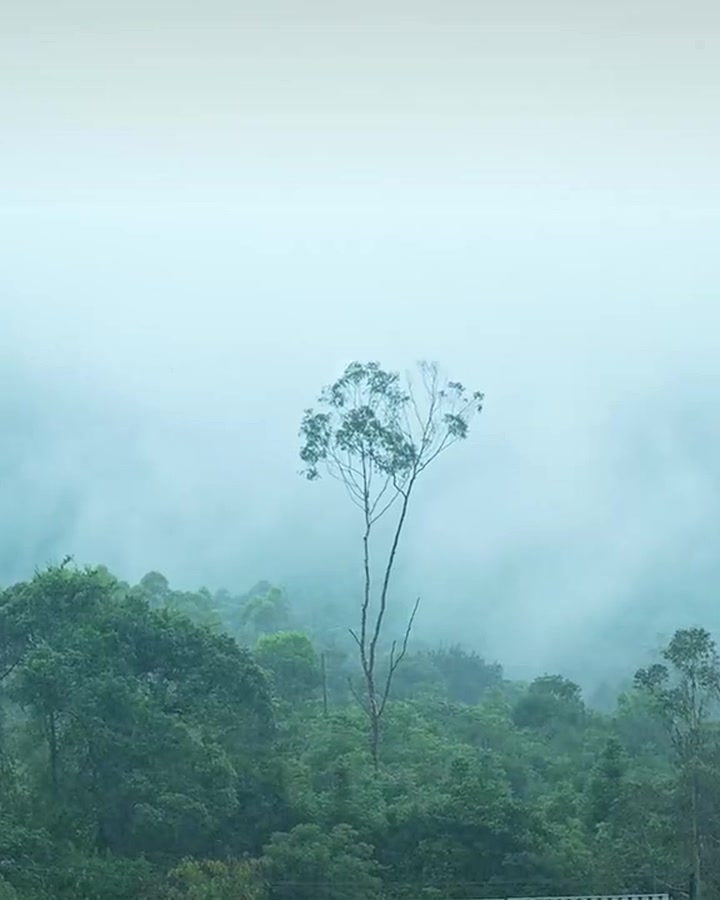 下雨天露营，也有另一种松弛感