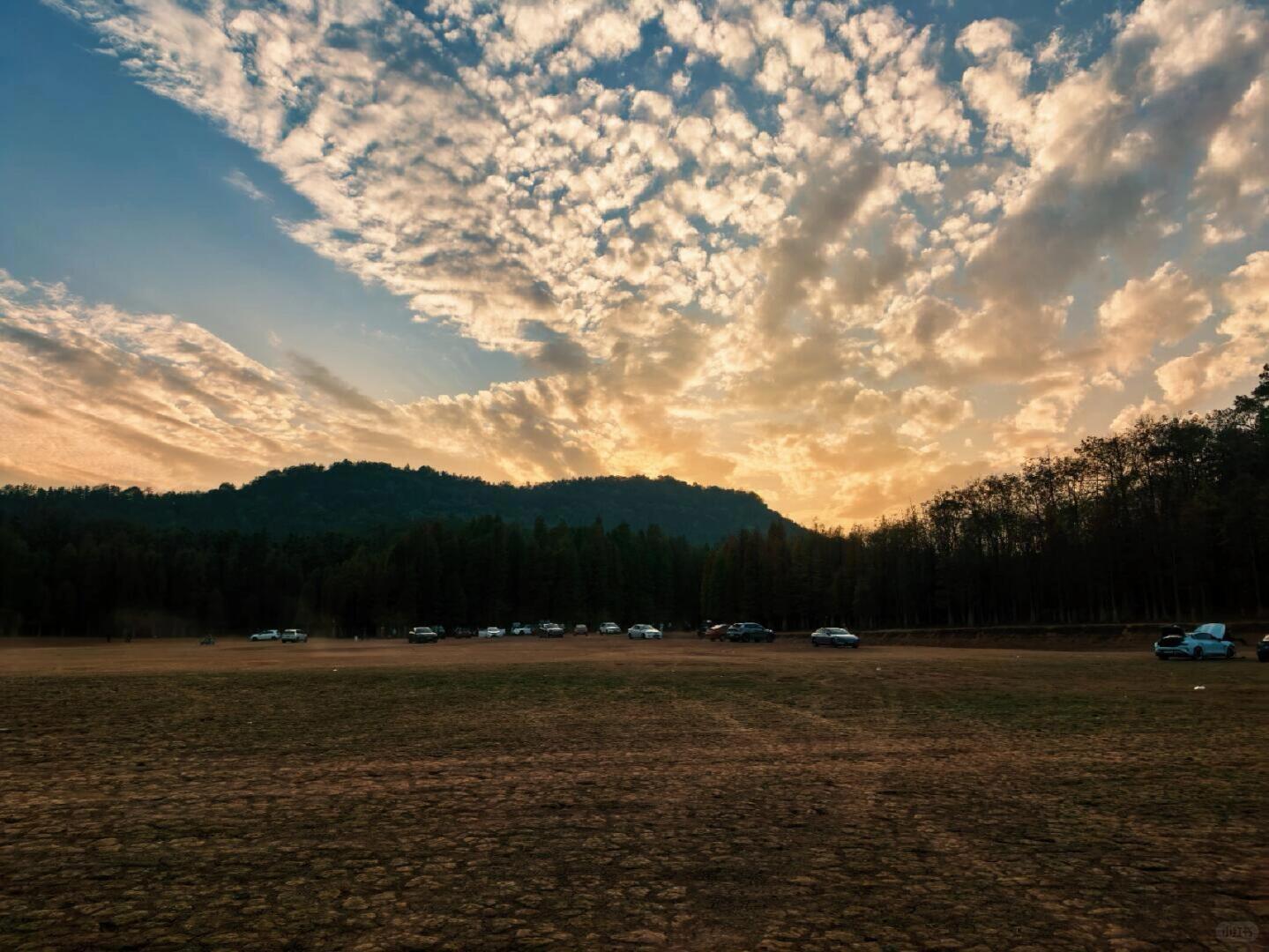 秋冬季露营宝藏地！白虎岭水杉林真的太美了！ · 图片 4