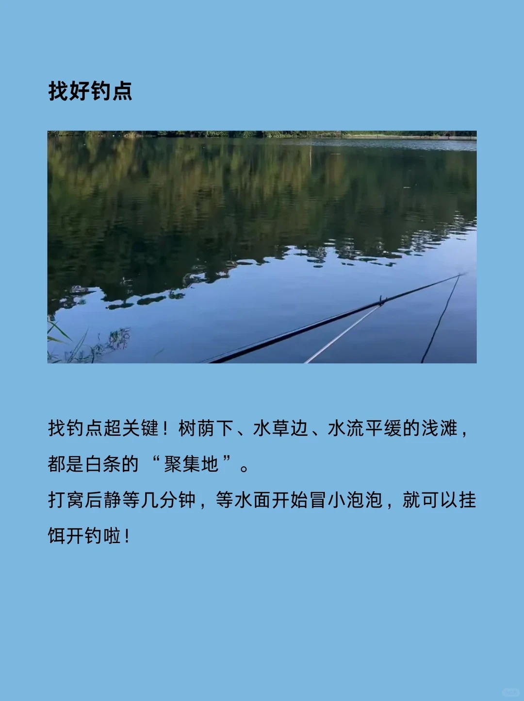 以前总觉得钓鱼是个技术活，直到开始钓白条，才发现原来新手也能体验疯狂连竿的快乐！😂 · 图片 3