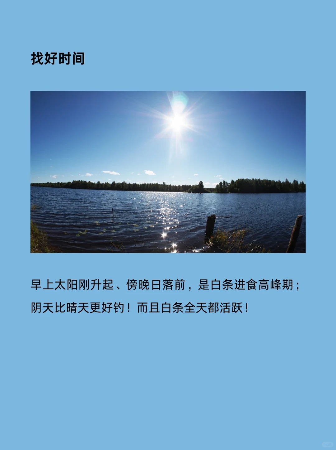 以前总觉得钓鱼是个技术活，直到开始钓白条，才发现原来新手也能体验疯狂连竿的快乐！😂 · 图片 5