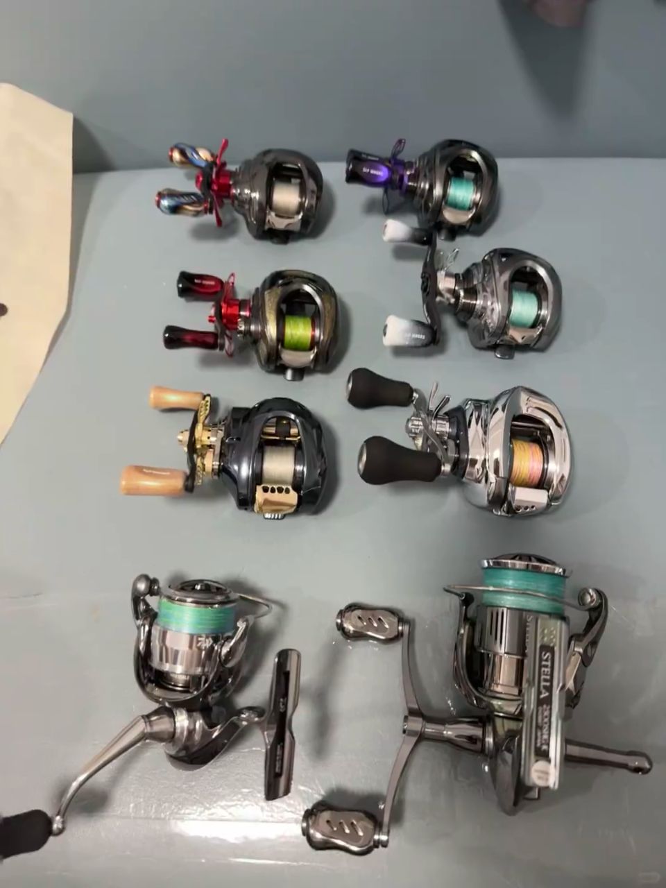 🎣入坑路亚一年，鲈钓装备终于有点“成型”的样子了。