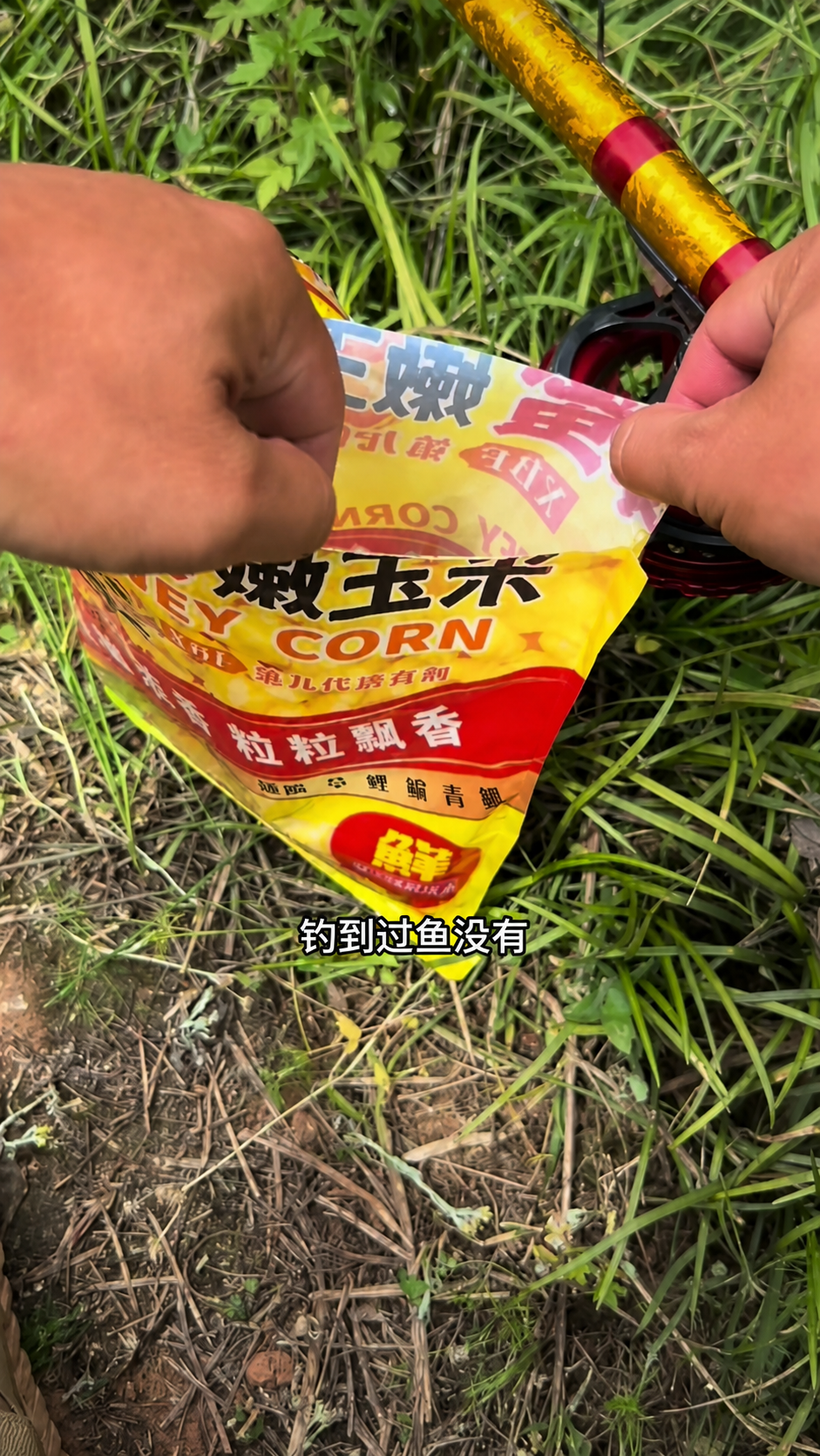 本来准备拍空军，结果这条鱼不太配合 · 图片 3