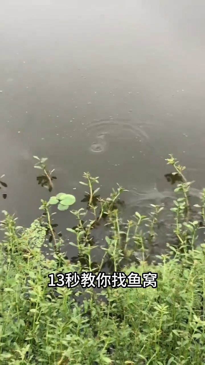 新手钓鱼必看🎣 找对鱼窝比打窝更重要！