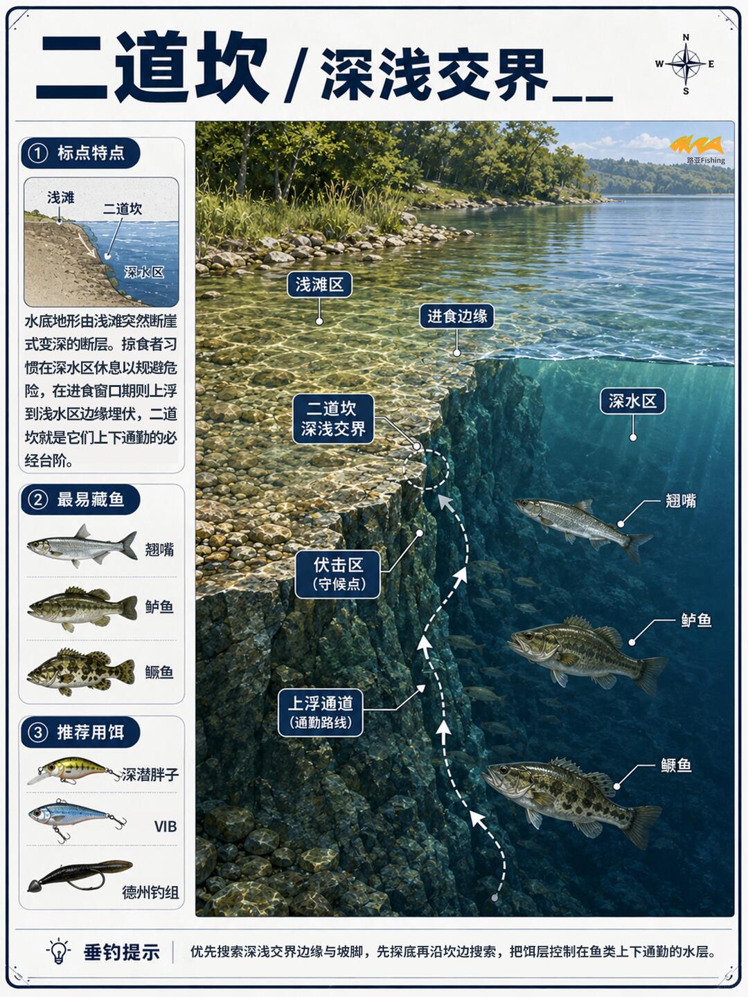 # 路亚新手必看🎣 找对这10个标点，少走一半弯路！ · 图片 6