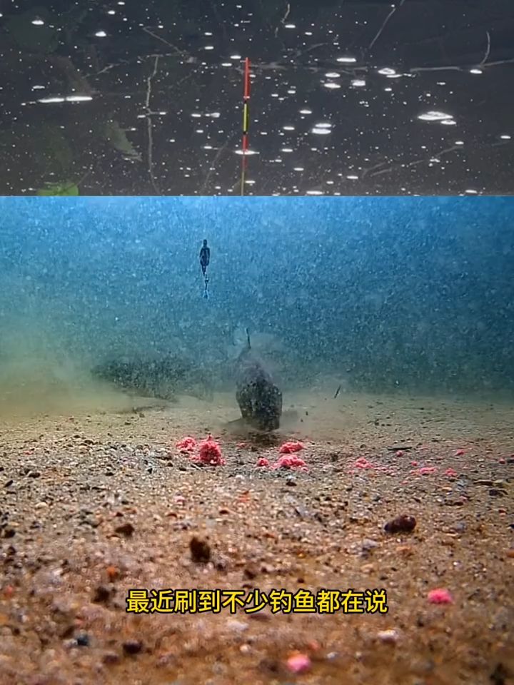 秋冬钓鱼调低钓高到底行不行？水下实测告诉你！
