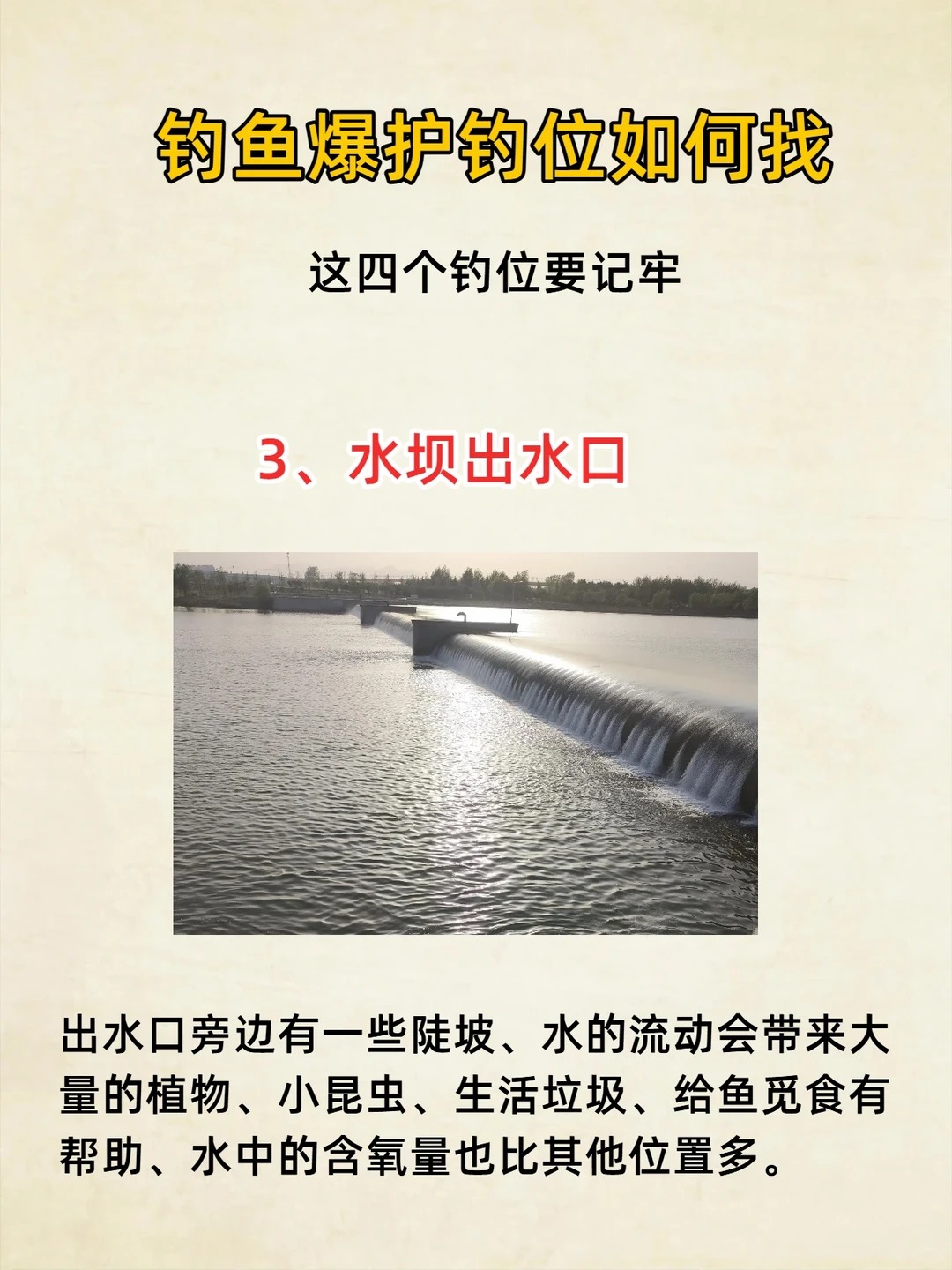 什么别人狂拉爆护，你却一口没有？钓位可能选错了！ · 图片 3