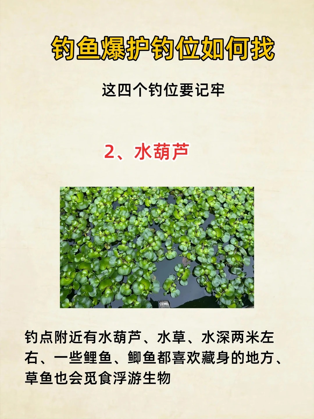 什么别人狂拉爆护，你却一口没有？钓位可能选错了！ · 图片 2