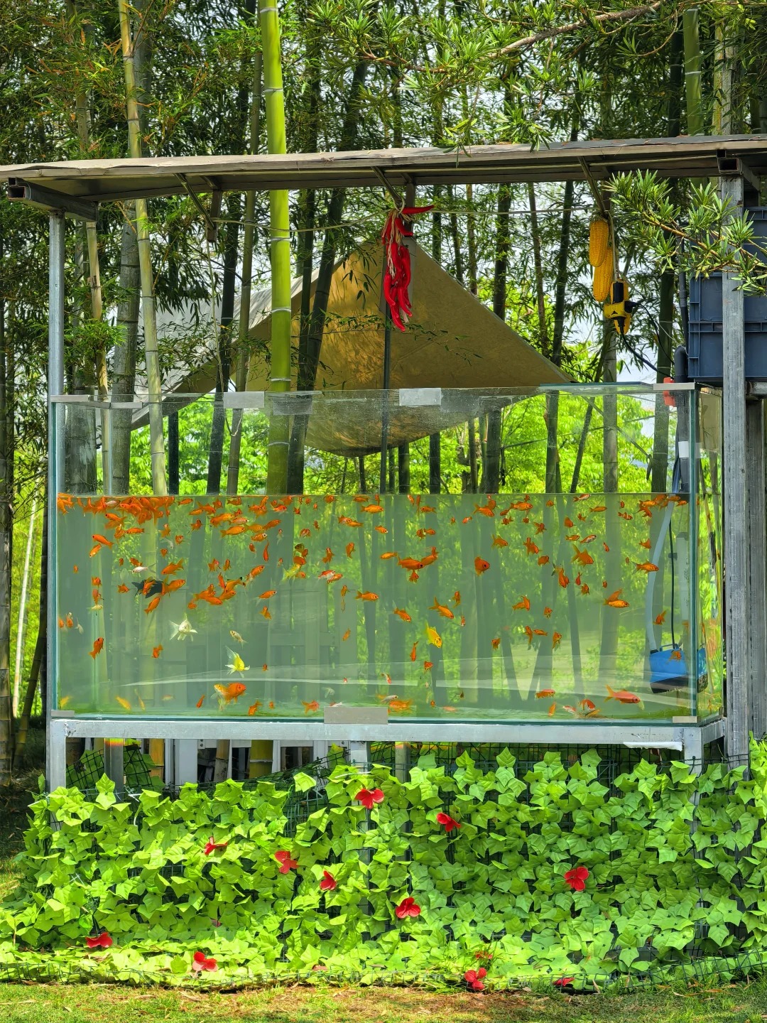 金华Ι逃离城市计划🏕️ · 图片 5