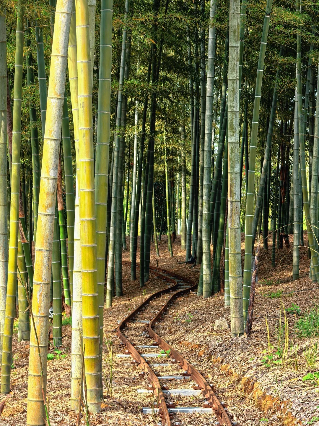 金华Ι逃离城市计划🏕️ · 图片 4