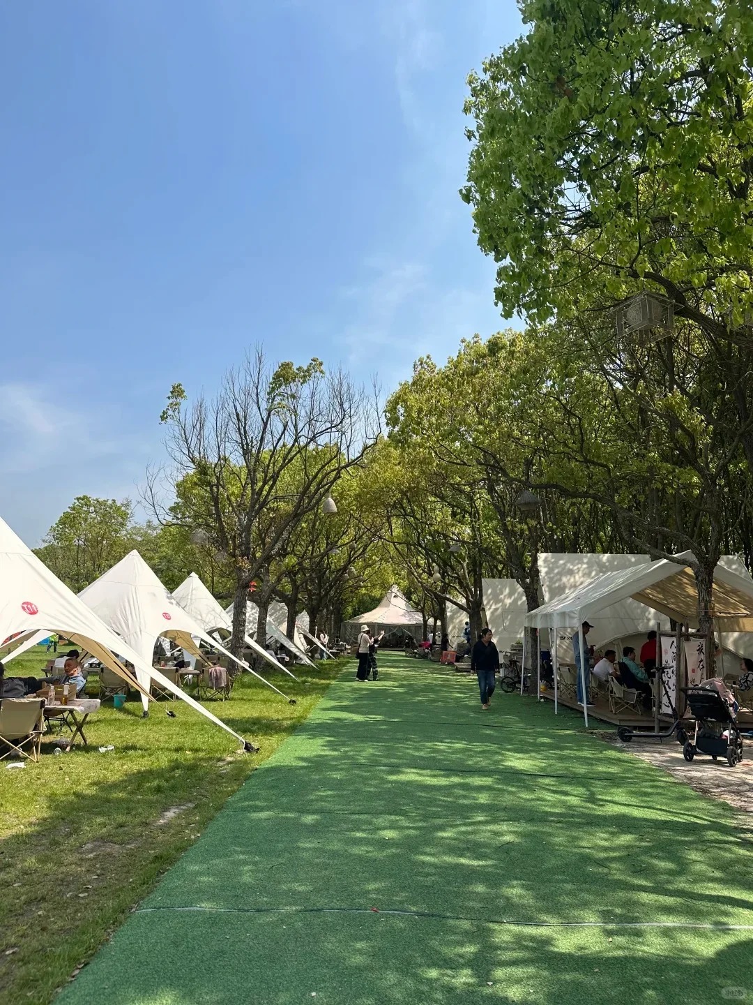 上海这村藏了3家营地！选错真的会后悔！ · 图片 5