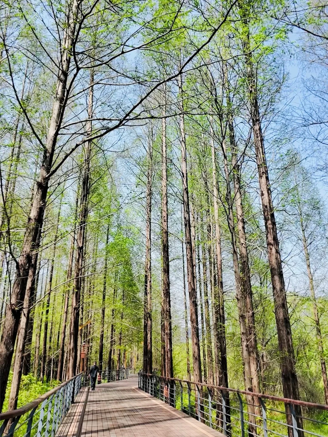 杭州周边18条骑行路线合集（附骑行轨迹） · 图片 9