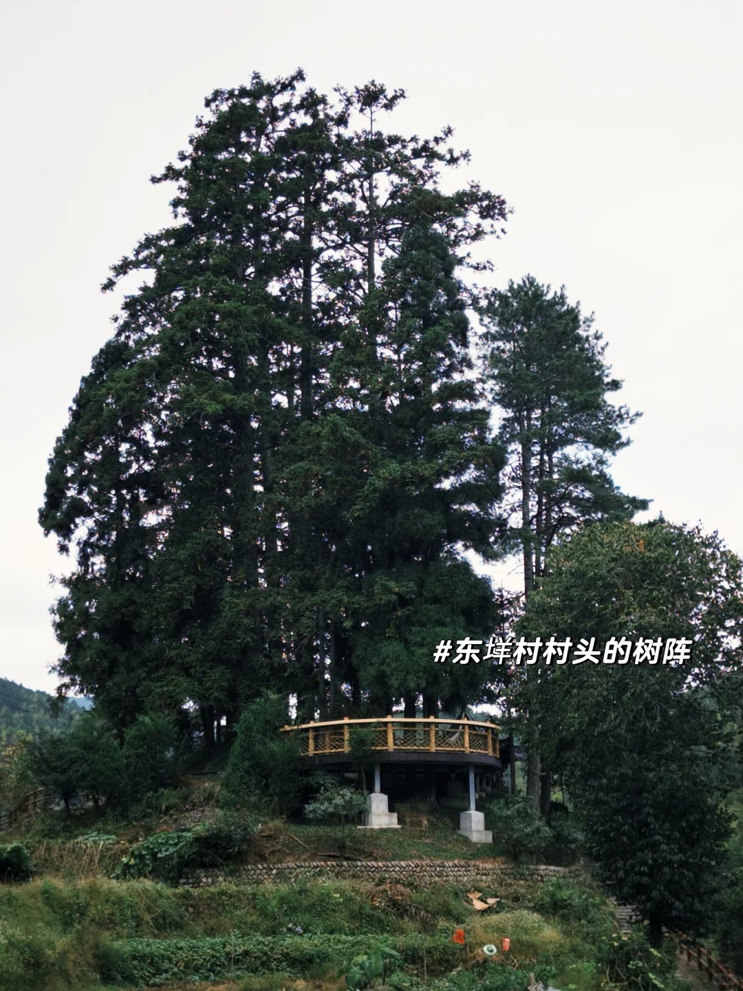 浙江骑行宝藏路线！186公里的山野浪漫 · 图片 3