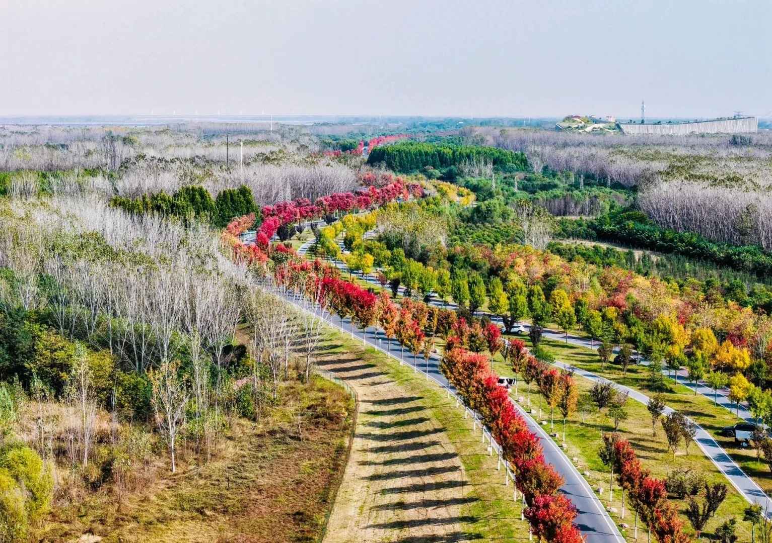郑州秋日骑行封神路线🍂7条环湖沿河合集！ · 图片 9