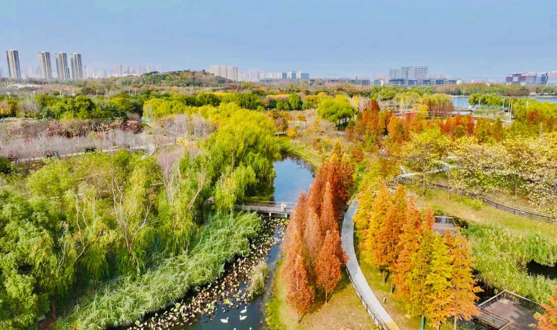 郑州秋日骑行封神路线🍂7条环湖沿河合集！ · 图片 7