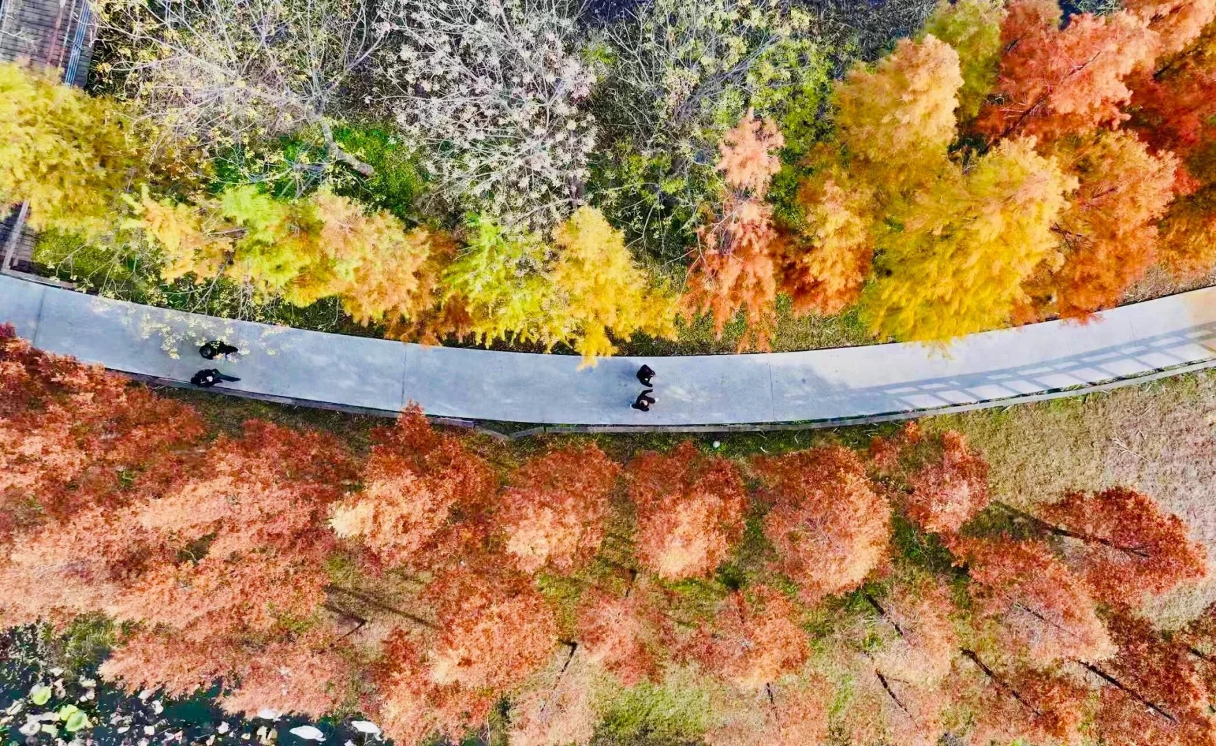 郑州秋日骑行封神路线🍂7条环湖沿河合集！ · 图片 8
