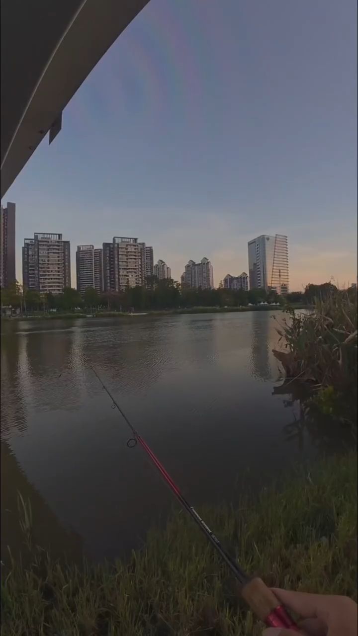 史上最“正经”的路亚教学！学会这招，上鱼稳了🤣
