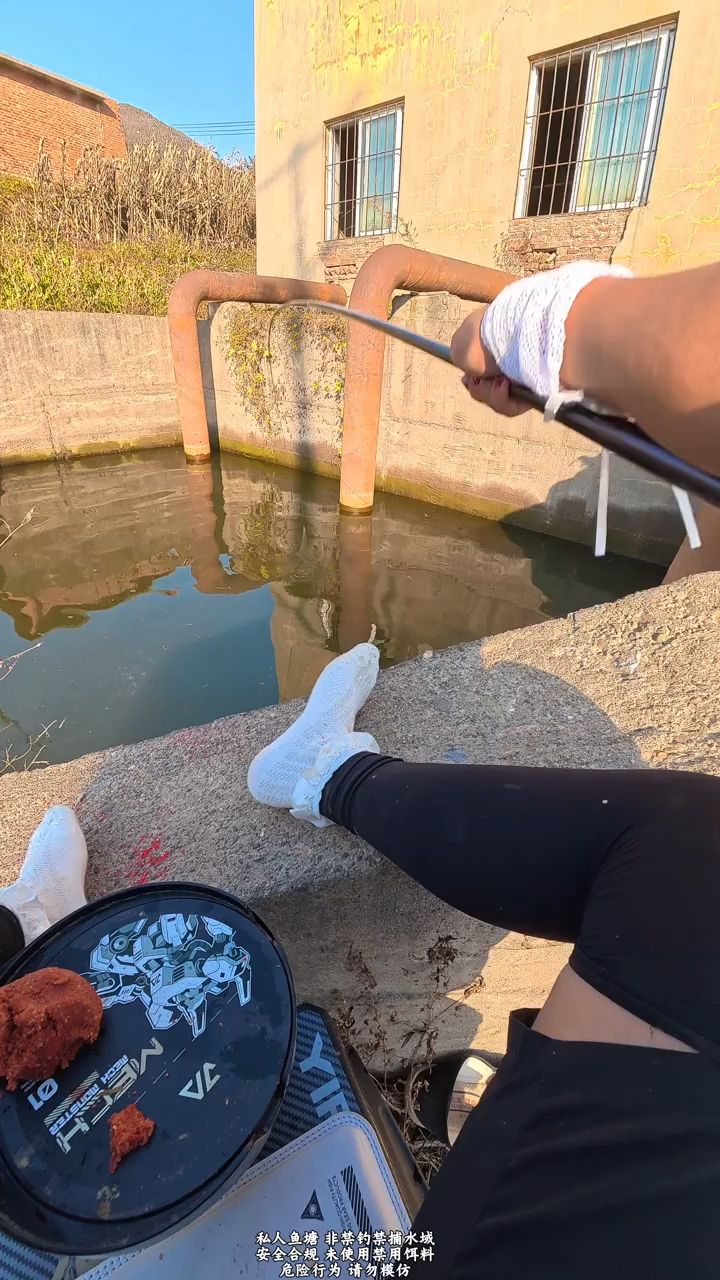 闸口探钓竟然上大鱼！这波真的没白来！
