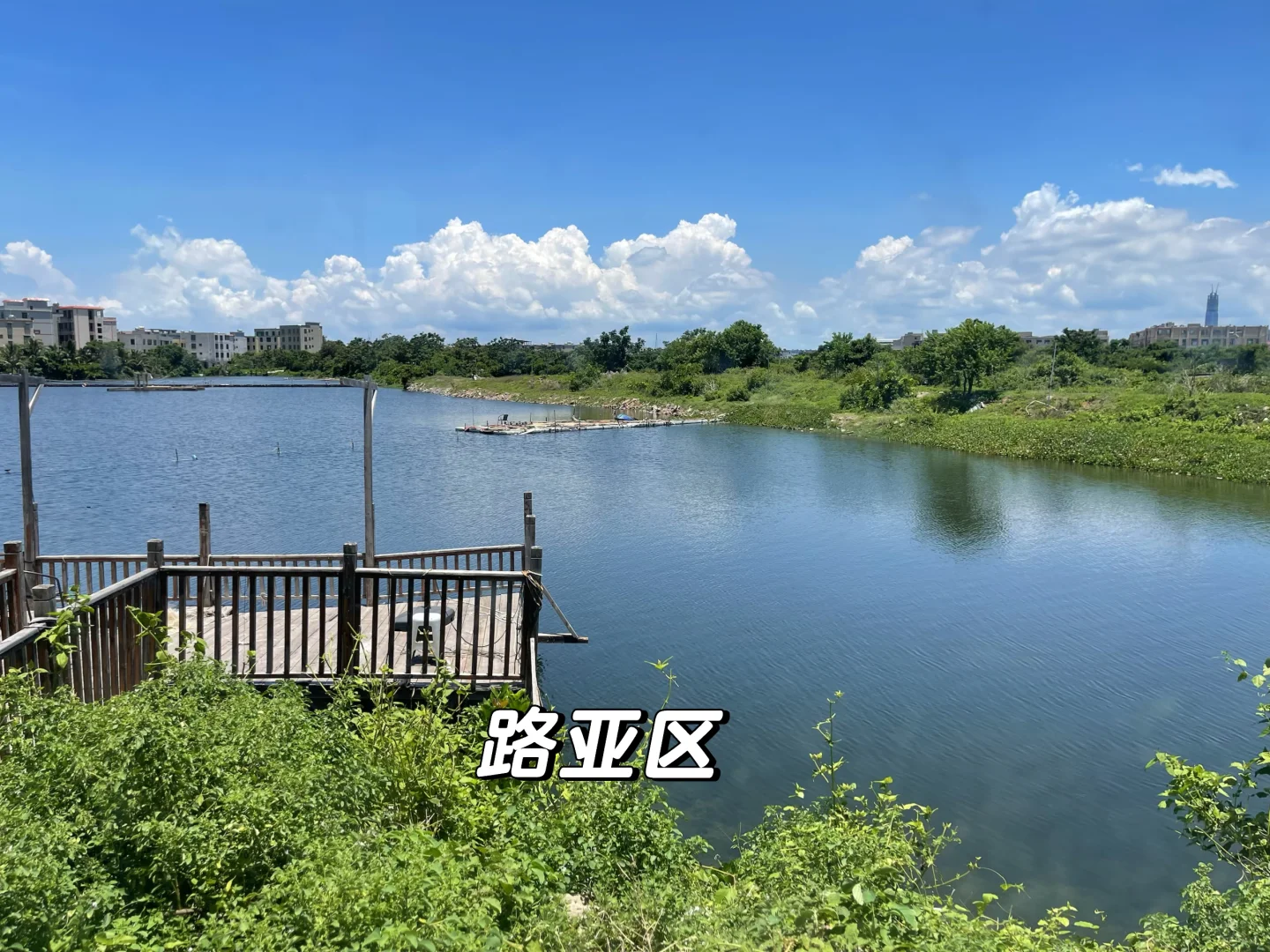 不愧是海南，石斑拉到吐 · 图片 5