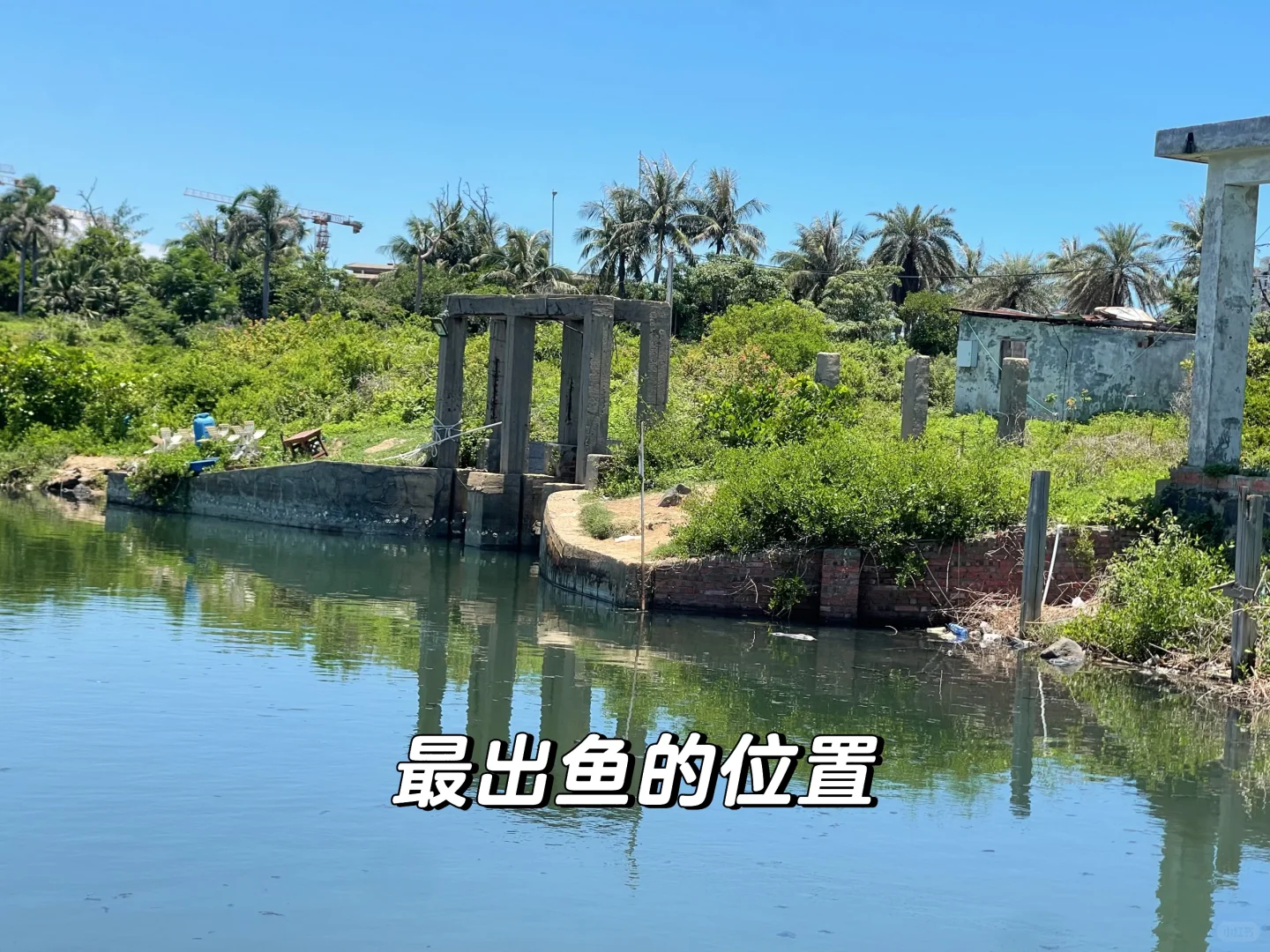 不愧是海南，石斑拉到吐 · 图片 4