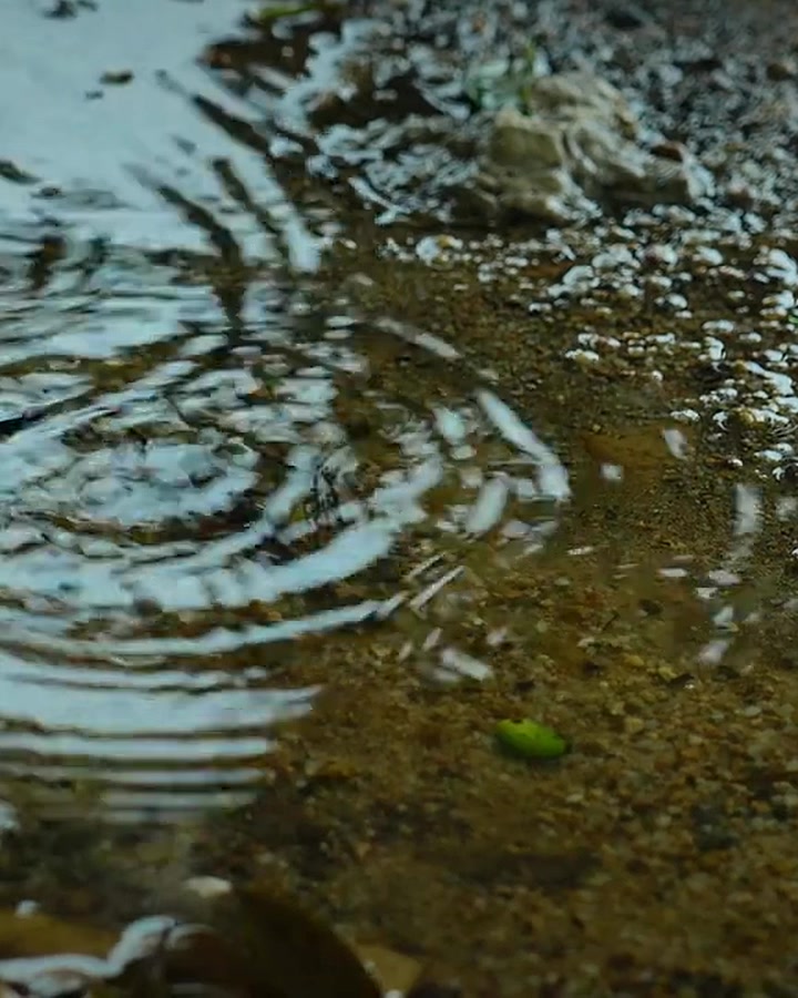 下雨天露营没那么狼狈，关键是这几个细节 · 图片 3