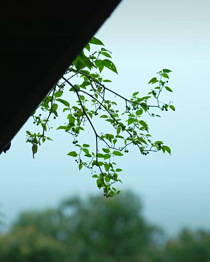 下雨天露营没那么狼狈，关键是这几个细节 · 图片 2