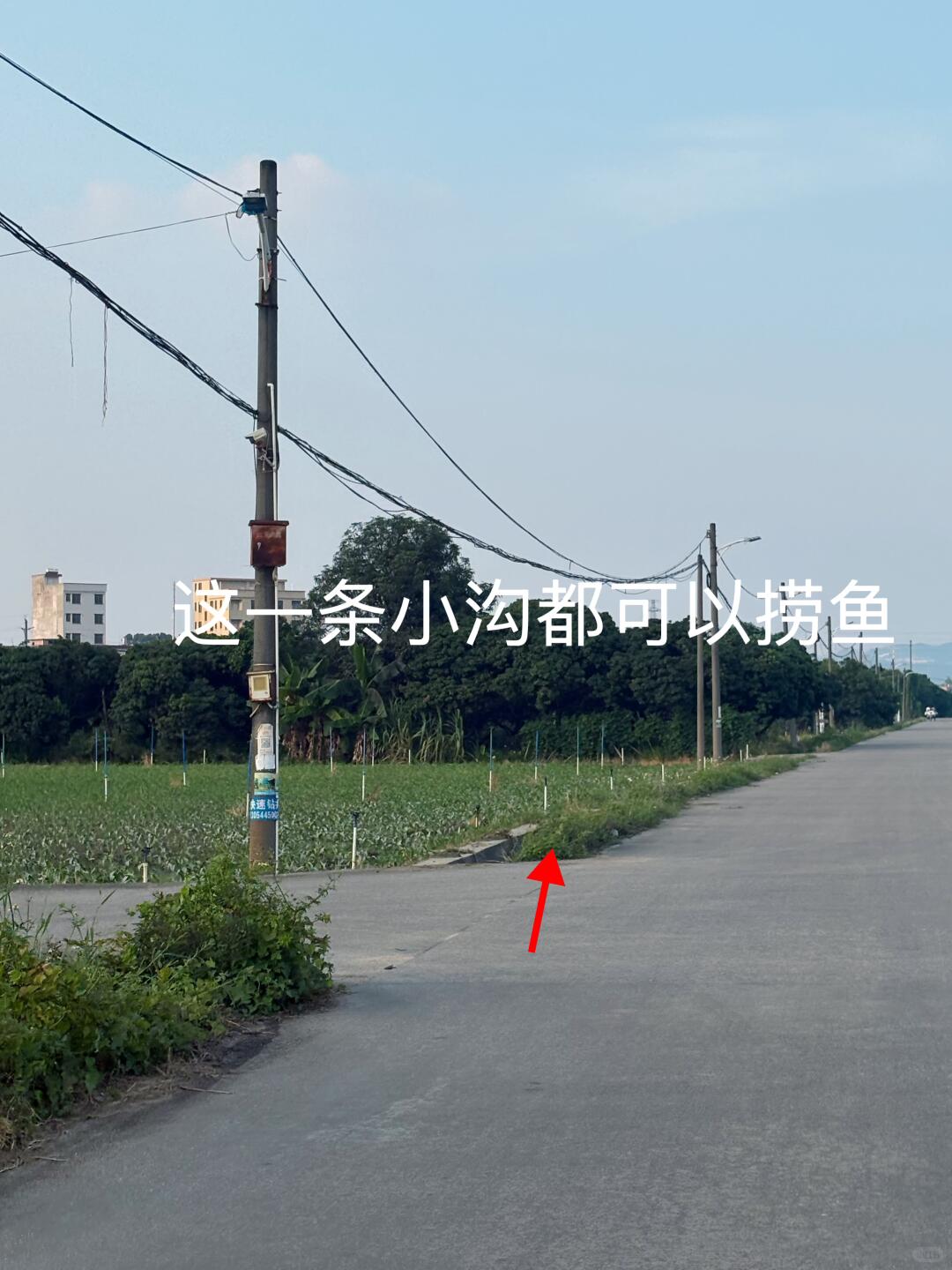 花都捞鱼钓鱼的详细位置来啦！ · 图片 8