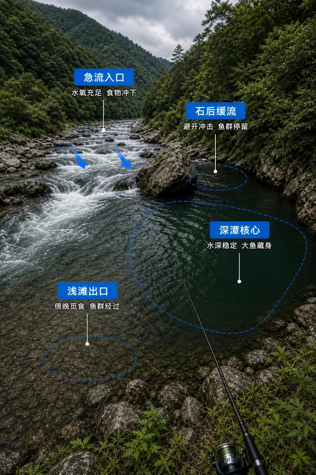 🎣为什么同一条河，有人连竿，你坐半天却一口没有？ · 图片 2