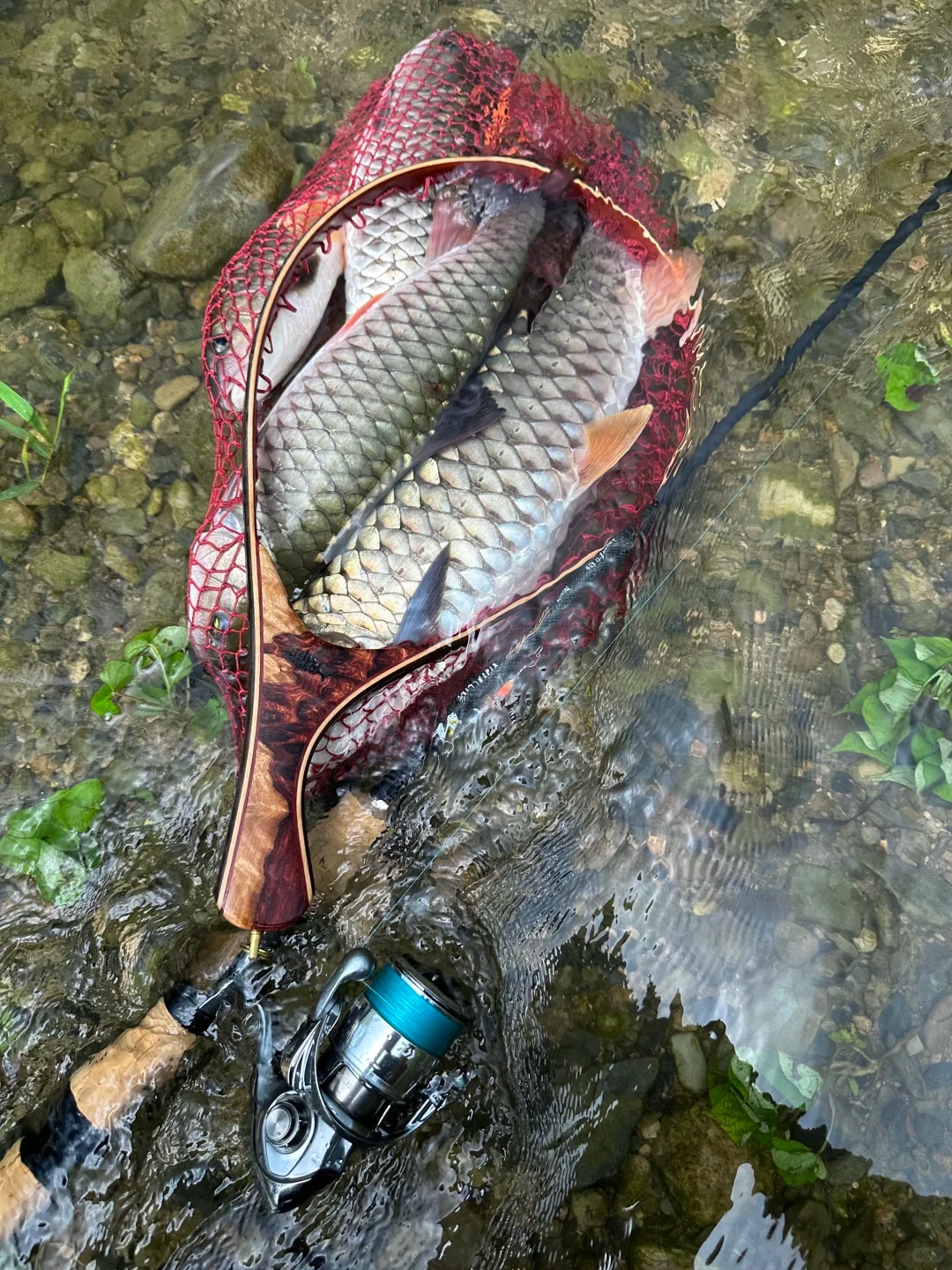 路亚军鱼怎么选饵？我的溪流军鱼用饵心得🎣 · 图片 2