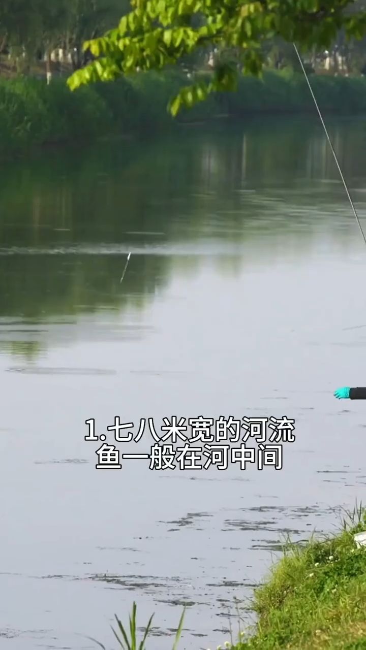 🎣 野钓高手教你找鱼道｜找对位置，比频繁换饵更重要