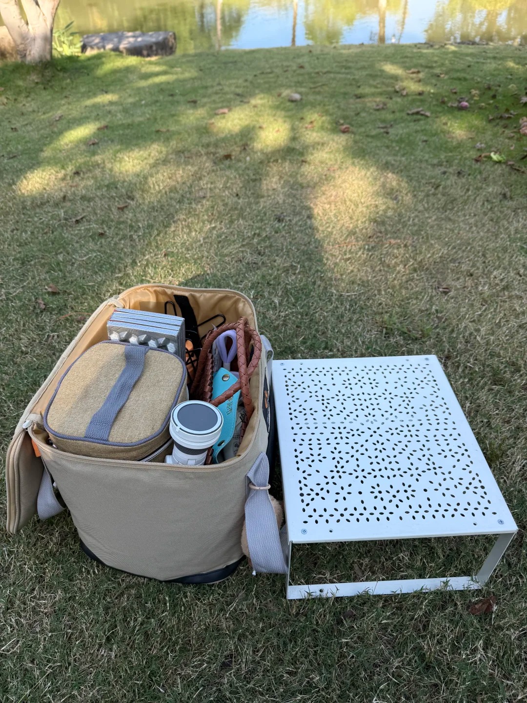 今日晴｜去公园浪费时间，是最好的充电方式🍃 · 图片 4