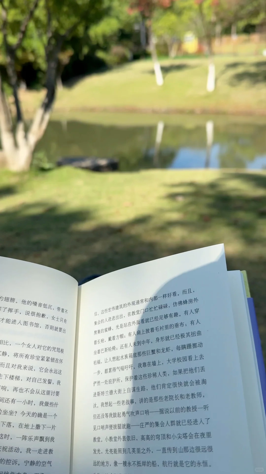 今日晴｜去公园浪费时间，是最好的充电方式🍃 · 图片 8