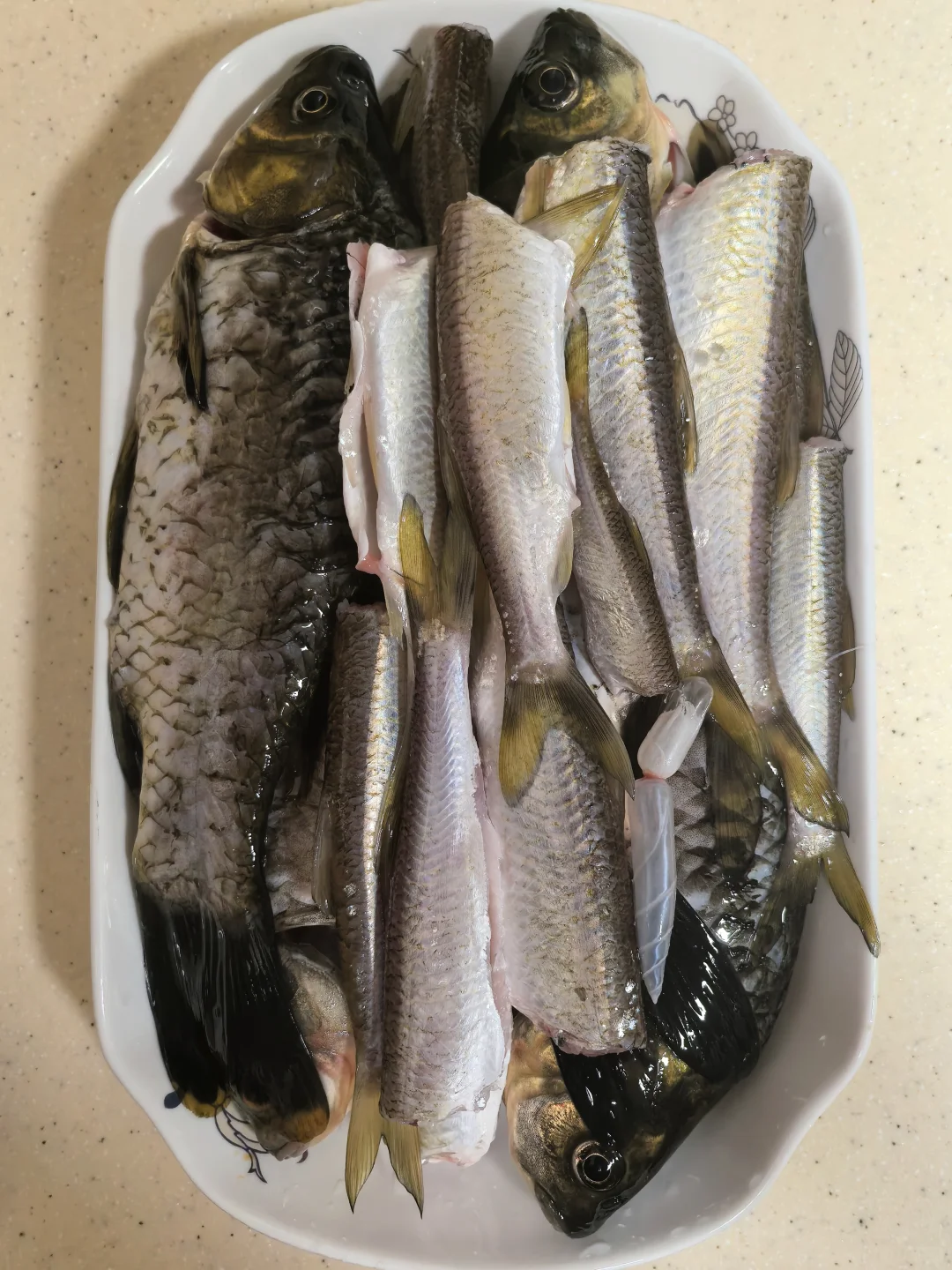 夏季野河钓鱼攻略来喽~🐟 · 图片 3