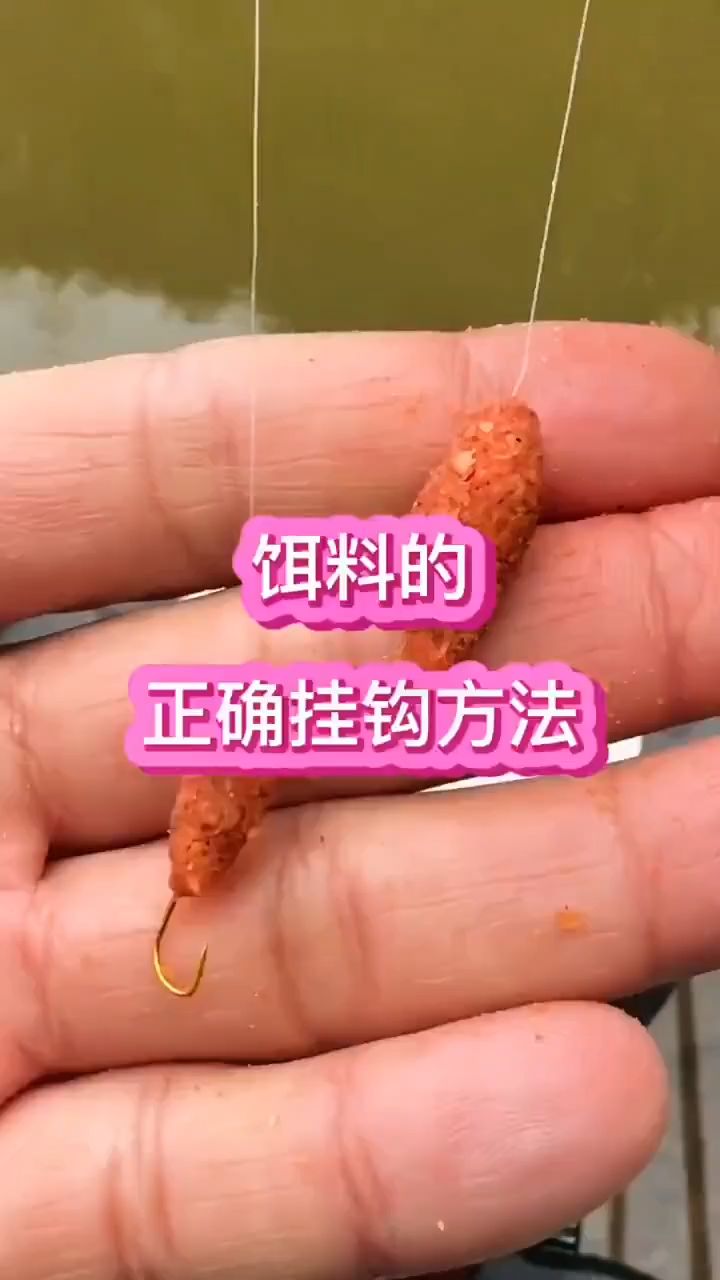 饵料挂钩也有讲究！难怪你有口却总打不中鱼！