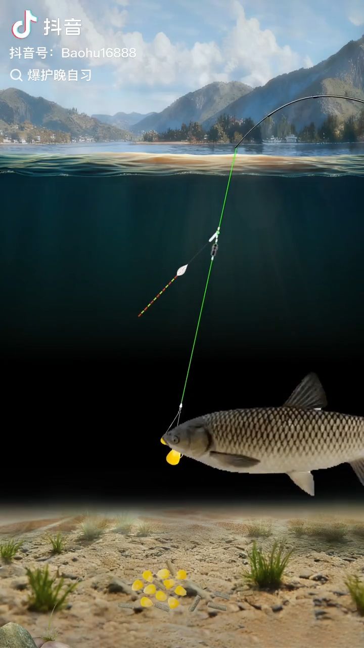 🎣 野钓草鱼技巧｜想钓大草鱼，先学会一个字：静！